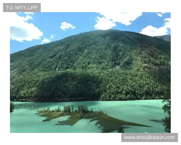 开云KY滚球赛事分析与预测，帮助玩家把握每一次投注的最佳时机