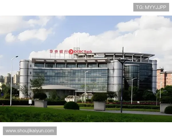 云开现金开户操作指南新手必看快速掌握开户技巧