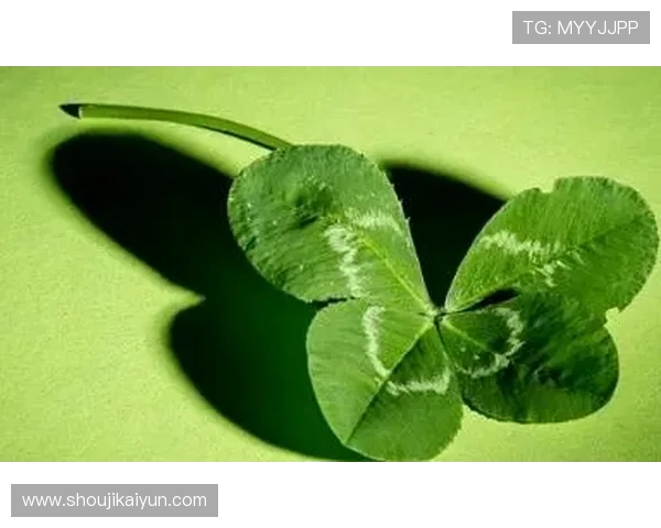 了解开运集团的特色服务，助你开启好运人生的实用技巧