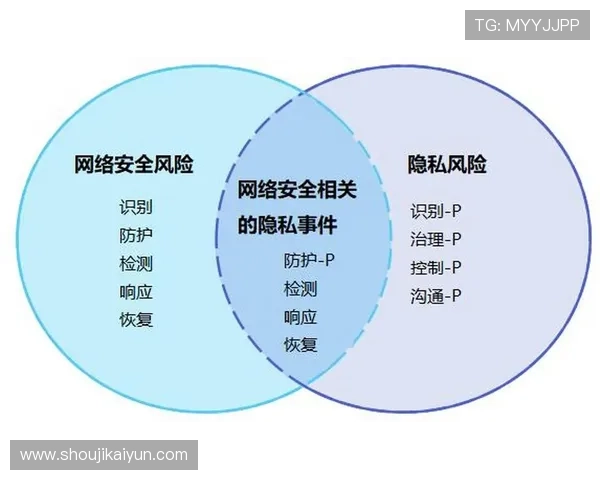 开云体育登录网站安全登录保障措施确保用户信息安全与隐私保护
